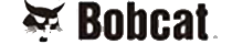 Bobcat